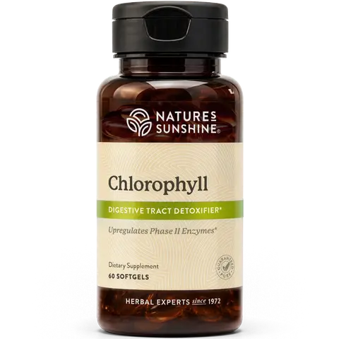 Nature's Sunshine Chlorophyll, 60 Softgel Capsules: Support Digestion, Immunity & Detoxification with Internal Deodorant Benefits. Easy-to-Swallow Capsules Promote Overall Well-Being & Energy