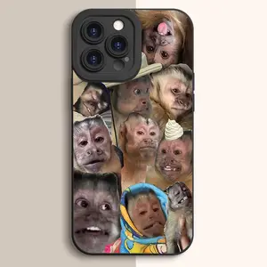 Baby Monkey Pattern Phone Case,TPU Soft Silicone,Fully Protected and Shockproof For iPhone 17 16 15 Pro Max 14 14Pro 13 12 11 X Plus 17E MINI Funny Clown Men