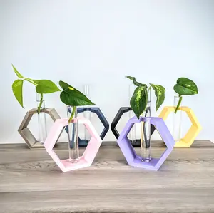 ChiclyBuilt Hexagon Propagation Station - Test Tube Planter