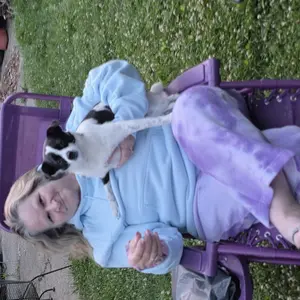 Dog in hoodie pouch