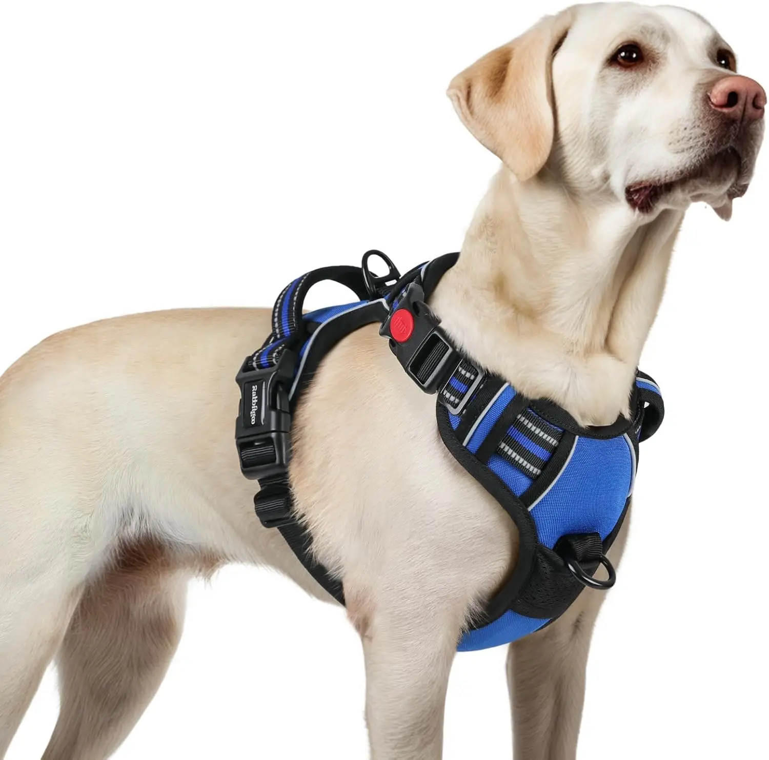 rabbitgoo Wide Dog Harness for Large Dogs - No Pull, Easy On & Off with Buckles, Adjustable Soft Walking Vest with Clips & Handle, Reflective for Nighttime Adventures, Snug Fit, Blue, L, Harnesses