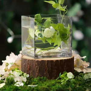 6-Pack Glass Flower Vases Heavy Duty 6" Clear - Durable Table Centerpieces for Events