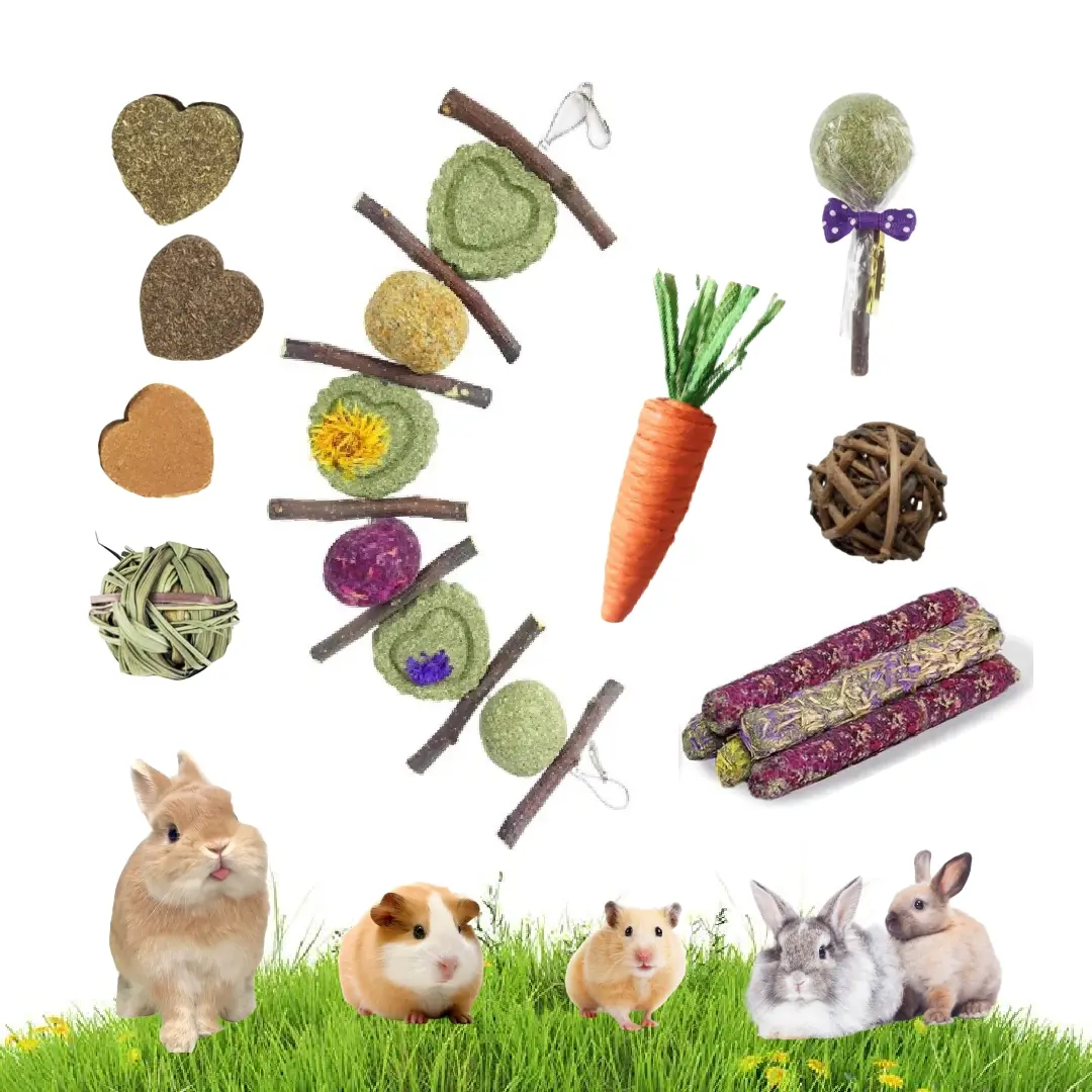 Rabbit Chew Toys Set, Natural Apple Sticks & Timothy Hay Treats, Molar Toys for Bunny, Guinea Pig, Small Pets, Cage Accessories for Teeth Grinding #SummerVibes