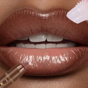 1SET Lip Liner Set, Lip Liner with Lip Gloss Lip Glue，Create Charming and Plump Lips, Lip Cosmetics, Lip Gloss Stick