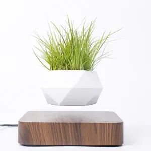 LEVITASY - Levitating Air Bonsai Pot, Rotation Flower Pot Planters, Magnetic Levitation Suspension Floating Pot, Potted Plant Home Desk Decor in Flower Pots & Planters from Home & Garden on