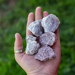 Down To Earth Lepidolite Raw Stones 1-2 Inches Rough Crystal for Emotional Healing & Balance Chakra Heart Libra Water Element