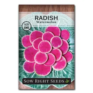 Watermelon Radish