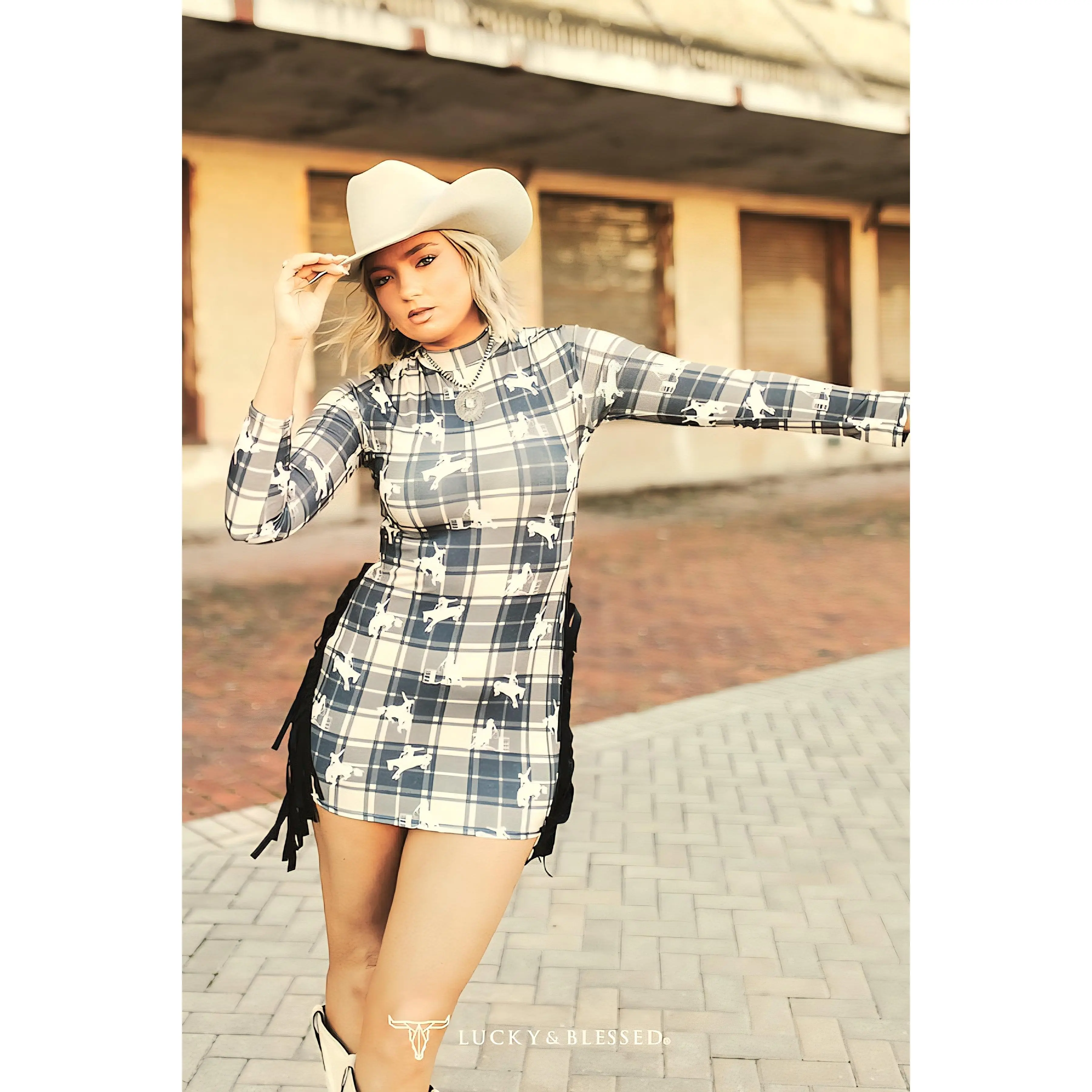 Plaid Cowgirl Long Sleeve fringe dress - TikTok Shop Plaid Cowgirl Long Sleeve fringe dress - TikTok Shop