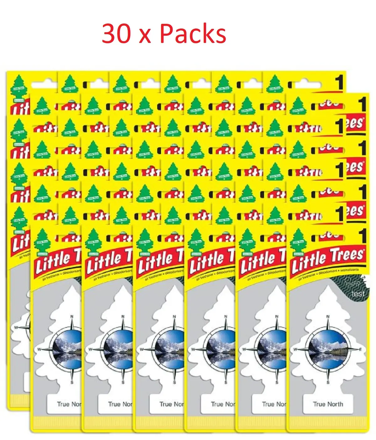 Little Trees Scented Air Fresheners - True North Scent, 30 Pack Car Fragrance Set, Deodorizer for Home, Car, Truck, RV, Passengers