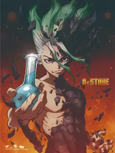 Wall Scroll 33x44" - Doctor Stone / Dr. Stone Senku Ishigami - Anime Decoration Painting Hanging Scroll Poster Canvas Wall Art