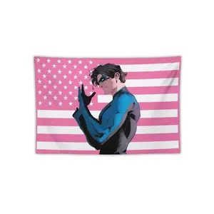 Nightwing Pink American Flag Tapestry, Funny American Flag, Dorm Room Wall Hanging