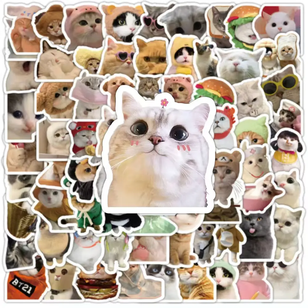 100 Pcs Funny Cat Stickers Cute Cat Meme Sticker for Adults Funny Animal Vinyl Waterproof Stickers for Water Bottles Laptops Phone Luggage Guitar