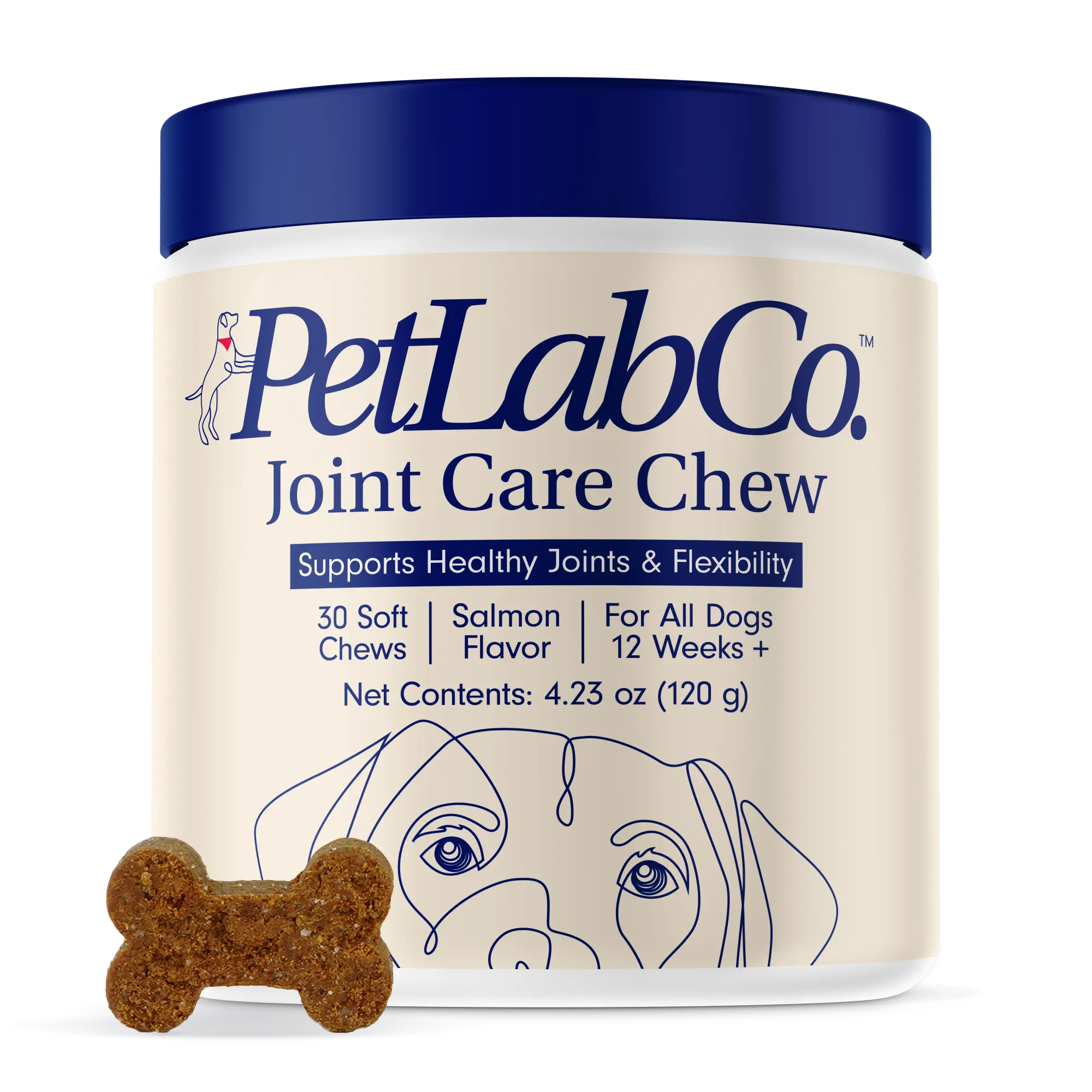 Hip & Joint Care Chews – Dog Joint Supplement for Mobility - PetLab Co.