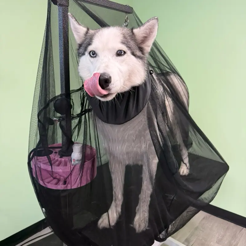 The Big Hair Net Flying Fur Catcher for Dog Grooming Blow Out Hair Catcher Stop Hair for Blowing Out All Over the Salon with the Flying Fur Catcher