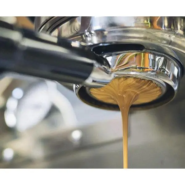 Knee Buckling Espresso