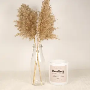Healing: EUCALYPTUS + PEPPERMINT vegan wax candle