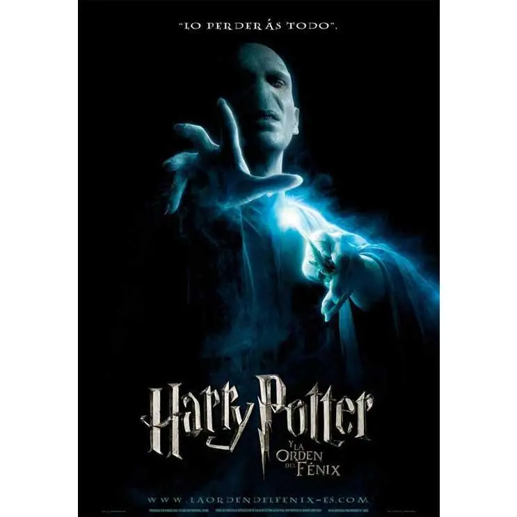 Harry Potter and the Order of the Phoenix Movie Poster Print (11 x 17)