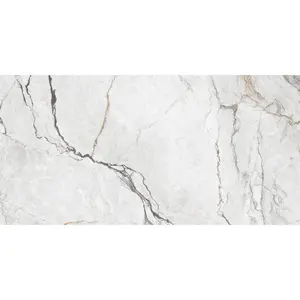 24 In. X 48 In. Orlando White  Polished - Porcelain - Wall & Floor Tile (15.50 Sqft/Case)