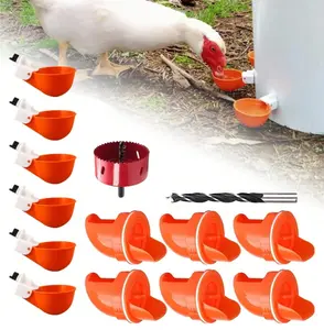 2 Pack chicken feeders - No waste. Automatic poultry feeder ports kit, 1 pack consisting of 10 orange feeders and waterers, suitable for dry food feeding.