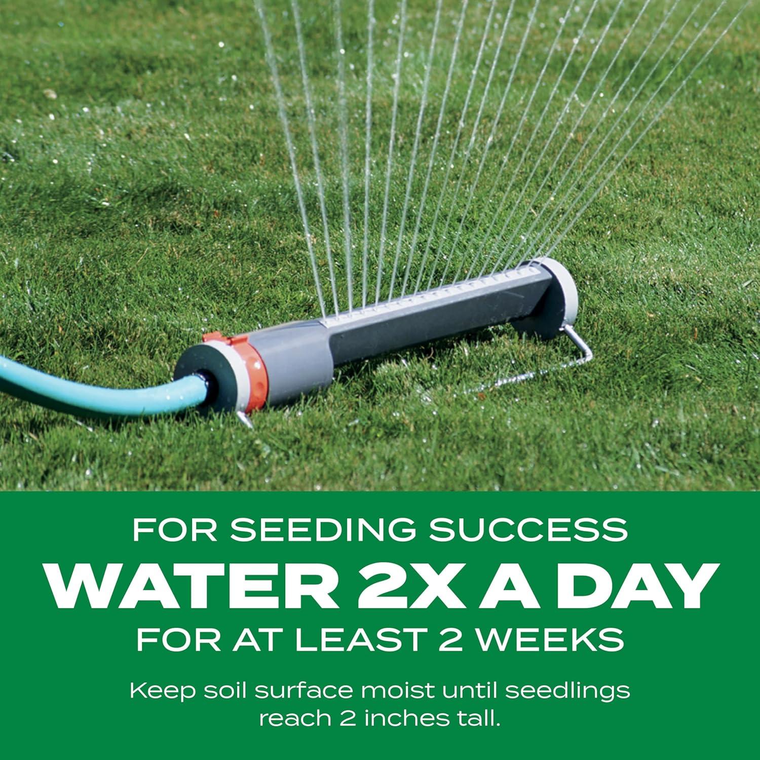 3000+ Fast Growing Green Grass Seeds for Lawn Home Garden Quality Lawn Care,Grass Seed and Shade Grass, Grows quickly and withstands all seasons, perfect for high-quality turf and golf courses, High Germination Grass Seeds Grown