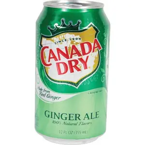 CANADA DRY Ginger Ale Diversion Home Security Safe - Discreet Hide-in-Plain-Sight Design, Removable Top, Hidden Safebox (Safety Technology DS-GINGER Model)