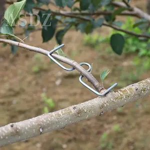 30pcs Metal Fruit Tree Branch Bender Set, No Electricity Needed, Fruit Branch Puller Hanger Tool for Shaping and Bending_TREE_BRANCH