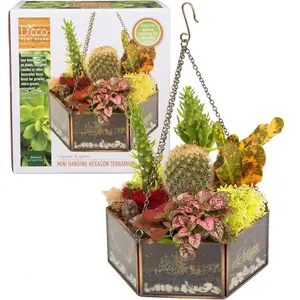 D'Eco Glass Geometric DIY Terrarium, Succulent & Air Plant- Hanging Mini Hexagon Shaped for Indoor Gardening Decor- Create Your own Centerpiece