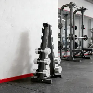 CNCEST A-Shape Dumbbell Rack for 6 Pairs, Heavy Duty Steel Weight Organizer 660lbs Capacity Home Gym Stand with Anti-Slip Pads for Fitness Equipment Storage