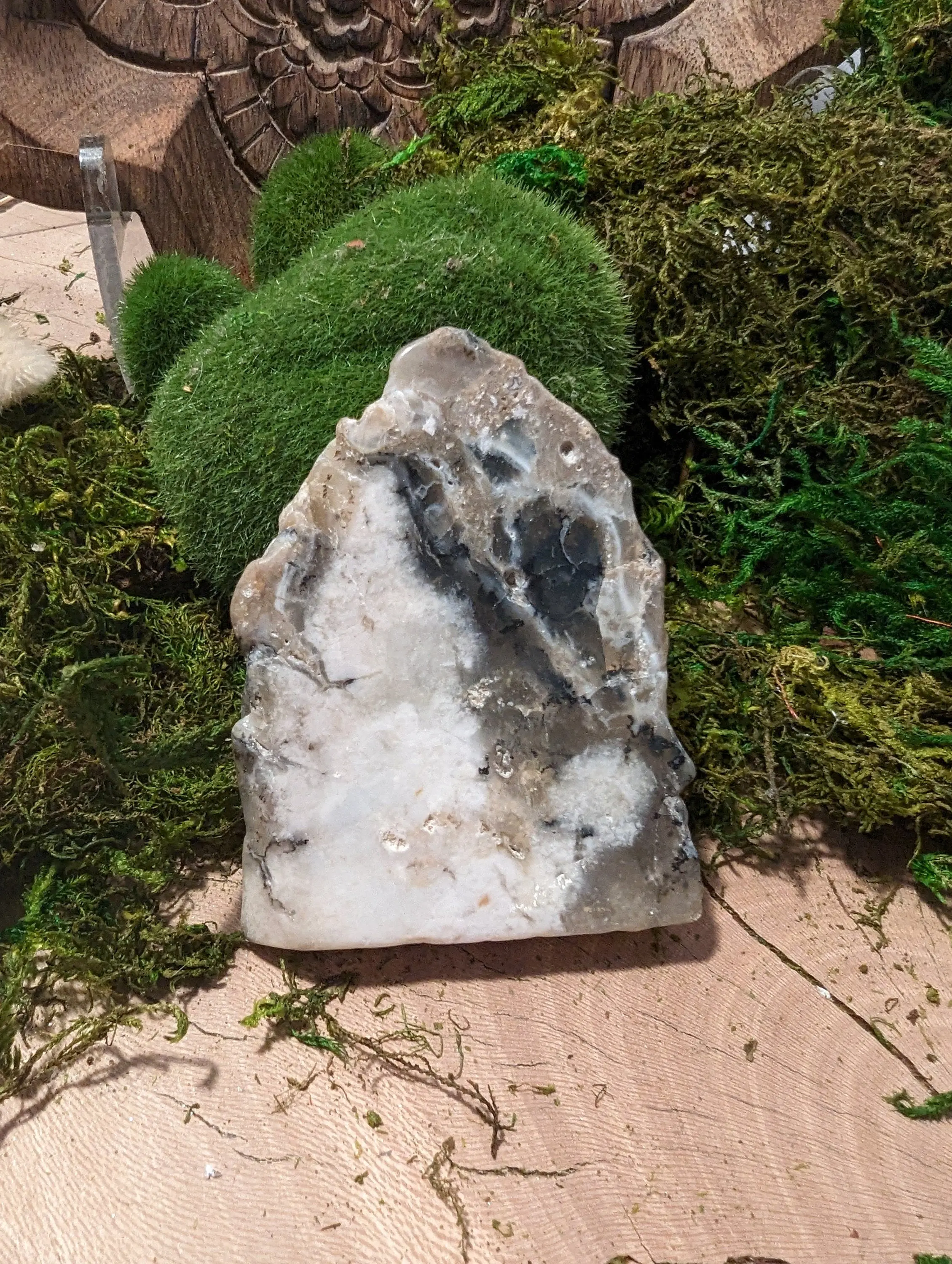 Beautiful Merlinite Slab Dendritic Agate Polished Dendrite Opal Slice Large Stone Healing Crystal Natural Mineral Specimen Inclusion Quartz