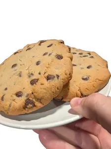 G-Force Chocolate Chip Cookies HALF POUND Gluten Free 20g Protein each