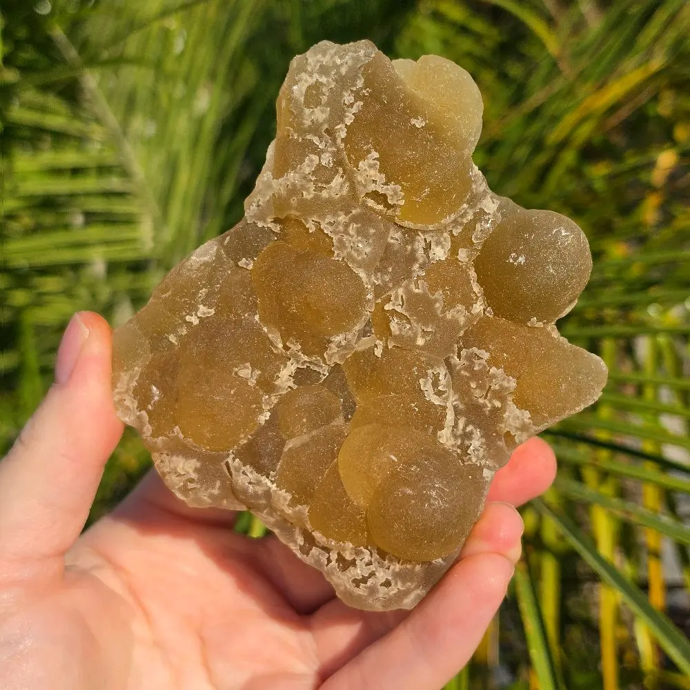 Yellow Botryoidal Bubble Fluorite Specimen – UV Reactive "Grape" Crystal Cluster