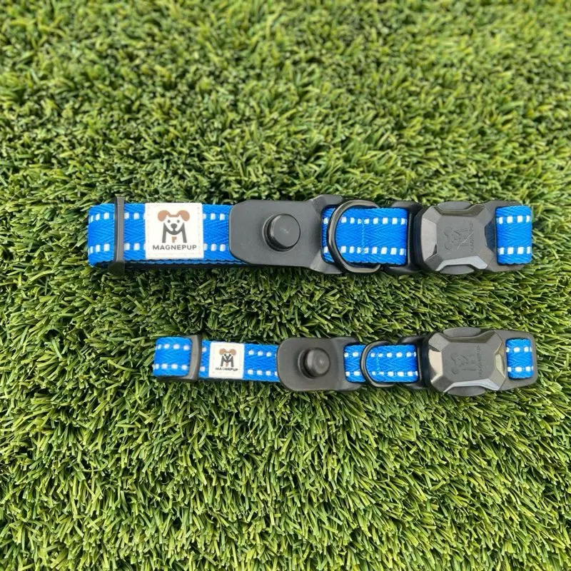 MAGNEPUP Click & Go Collar COBALT BLUE - Easy Use Dog Collar with Magnetic Buckle