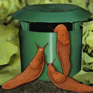 Durable Snail & Slug Trap - Safe Plastic Cage for Vegetables and Flowers, Green Barrel Design with Multiple Openings for Effective Pest Control, Flower Safeguard | Discreet Garden Placement | Easy Monitor Trap, Slug Traps for Garden