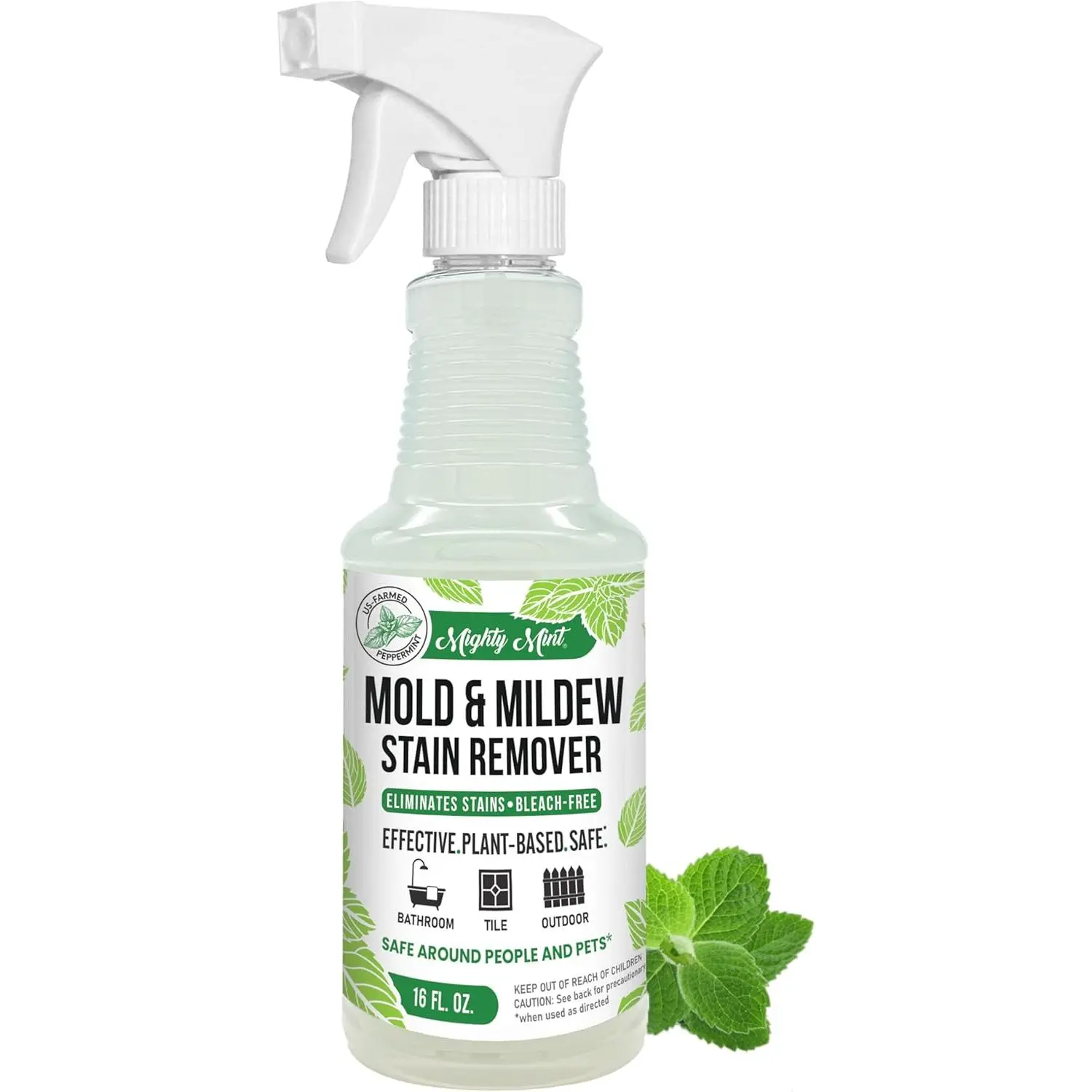 Mold & Mildew Stain Remover Spray, Rapid Clean for Bathroom, Kitchen, Hard Water, Outdoors, Natural Peppermint Scent, 16oz