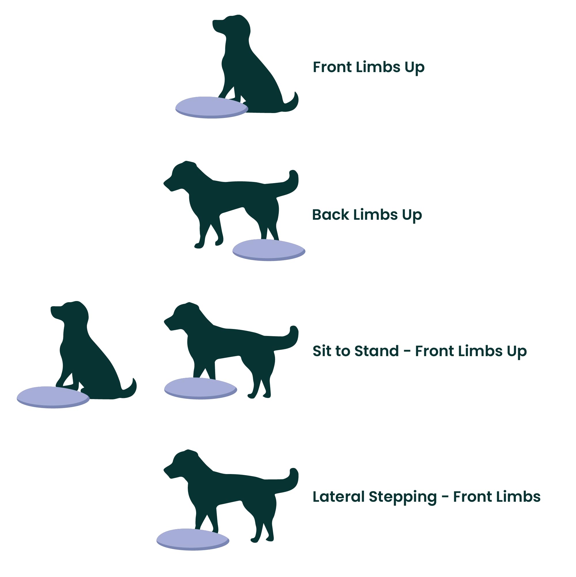 Pet Sensory Balancing Disc, Stability Wobble Cushion for Dogs, Improves Coordination & Core Strength, Dog Workout Tool