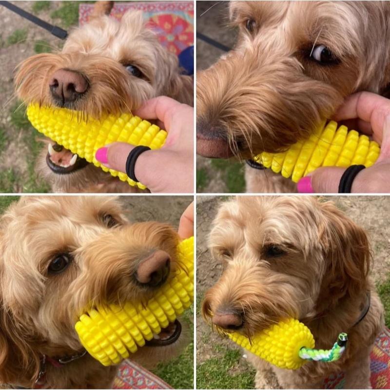 Natural Rubber Corn Dog Toy, Bite-Resistant Squeaky Chew Toy, Teething Training Accessory for Dogs of All Sizes