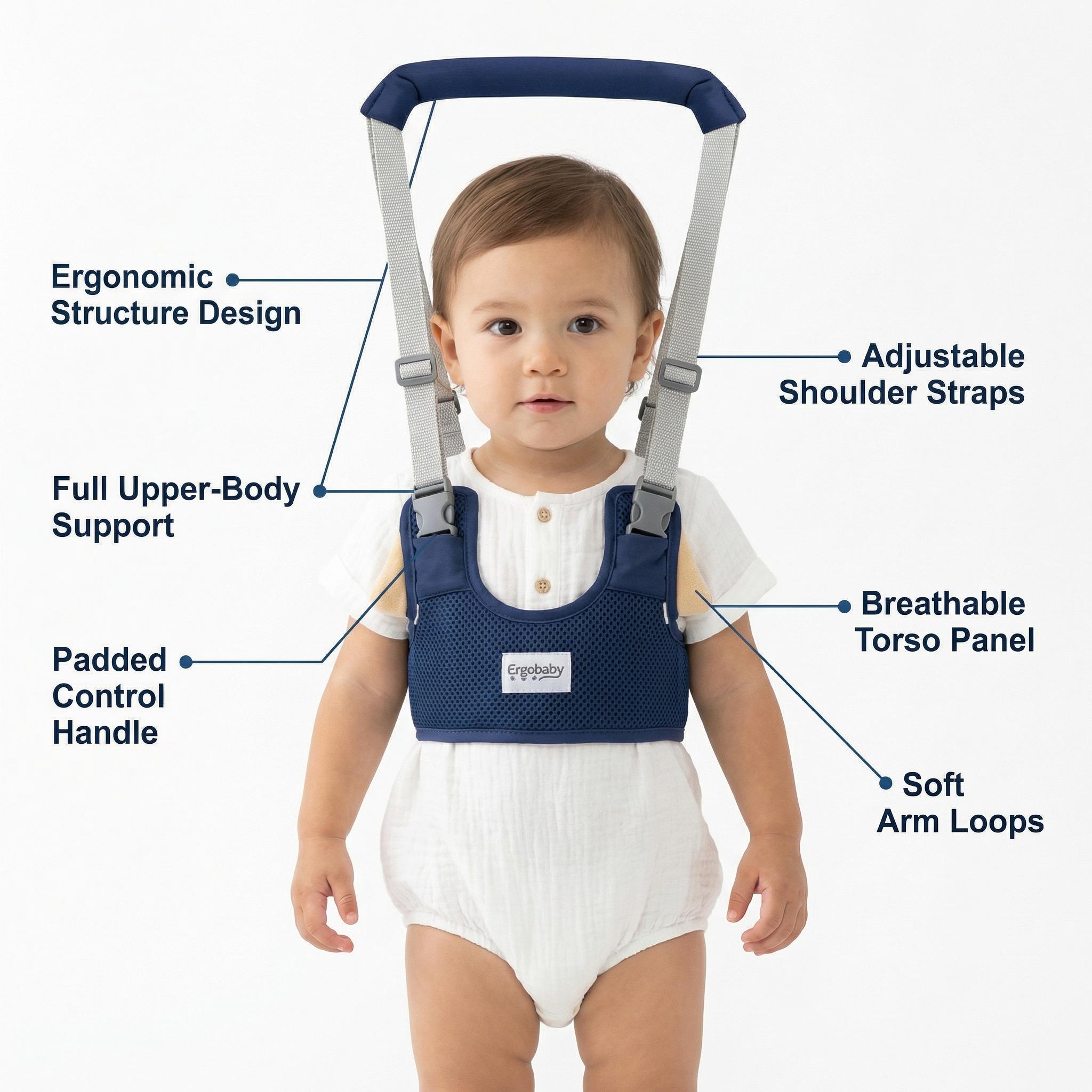 Baby Walking Harness — Handheld Walking Aid, Adjustable Toddler Walking Strap, Assists with Standing and Walking, Suitable for Babies Aged 9–24 Months (Dark Blue) Comfortable Support