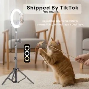 Video Light Kit: 25.6cm Outer Dimmable LED Ring Light, Light Stand（43 inch/110cm）,  Phone Holder for TikTok Videos, YouTube, TikTok, Self Portrait Shooting, live stream makeup vlog#Mother's Day Gifts