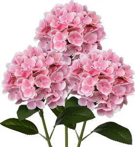 Pink Hydrangea Bush Plant Tree Live Shrub in Quart Pot - 6 To 12 Inches Tall Hydrange Tree Plant - No Ship To AK, HI & P.R.