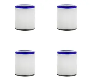 10 Strawberry Street Set of 4 Leon Mexican DOFGlasses
