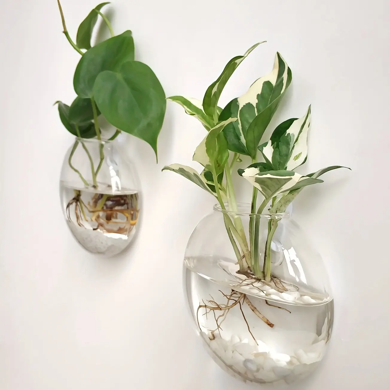 Rimless Round Glass Terrarium Set - Indoor/Outdoor Hydroponic Plant Holder, Modern Home Office Decor, Ideal Gift (2/4/6pcs)