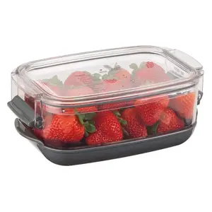 Progressive Berry Keeper | 1.2-Quart | Kitchen Utensil & Gadget - Containers Storage Lid
