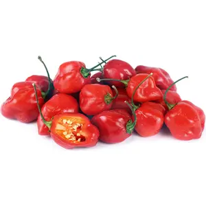 Fresh Red Hot Pepper Habanero 12pk - Bold & Intense Flavor for Your Dishes - Perfect for Hot Meal Lovers