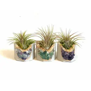 Crystal Geode Planter with Air Planter