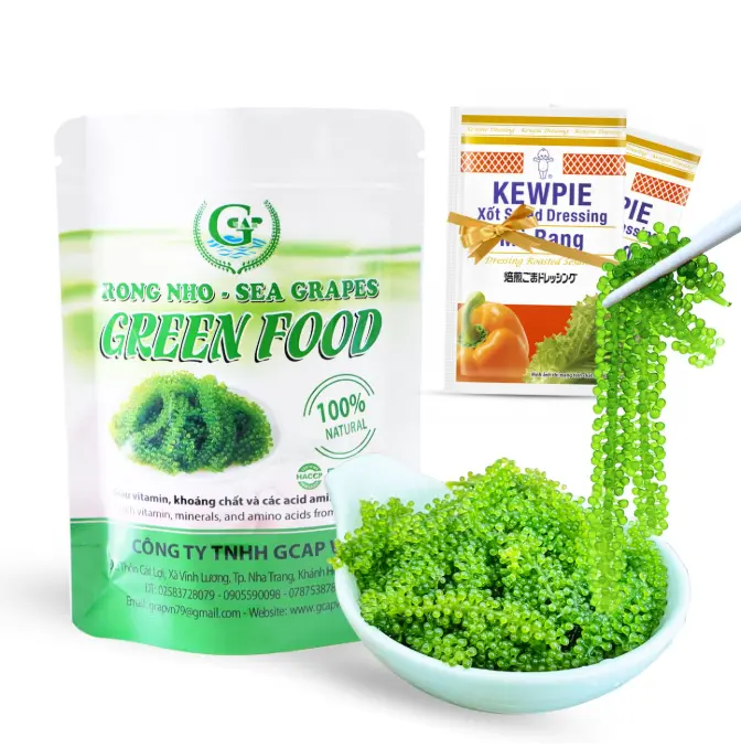 GCAP Sea Grapes Green Food - 3.53 OZ/100g, Dehydrated lato, Organic seaweed - Umibudo - Green caviar - Caulerpa lentillifera - Delicious Crunchy Healthy Freshness from the Ocean