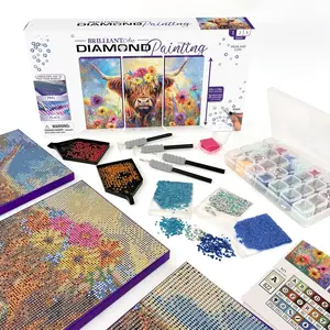 Painting Kit,  Art Ready to Hang Framed Canvas with Storage and Accessory Kit, Highland Cow, 3 Stretched Canvas Panels, 14" x 7" Each