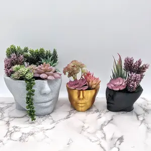 ChiclyBuilt Head Face Planters, Face pot, Head Planters, Pots for Plants