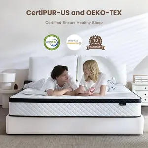 Mattress 10-14 Inch Hybrid Mattresses in a Box with Comfort Foam and Pocket Coils,Hybrid Mattress with Memory Foam, Individual Pocket Spring for Motion Isolation, Back & Lumbar Support, Pressure Relief, Queen Bed Mattress Soft,Hybrid Mattress 2.0