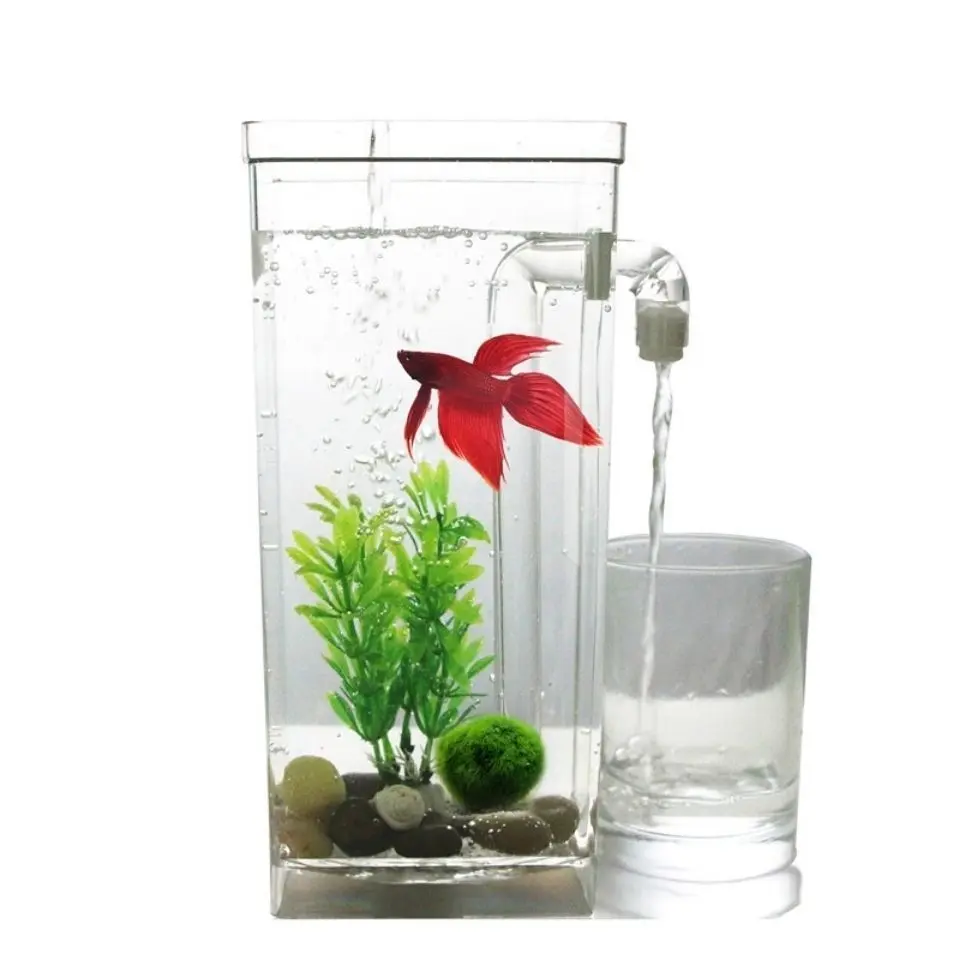 Square small fish tank + filtration water pump + a