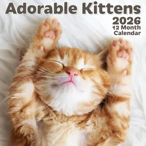 - Biodegradable 11x22 Inch - Open - 12-Month Vertical  Wall Calendar - 2026 Monthly Calendar - Cute Kittens